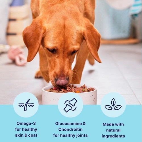 Tails.com Inner Vitality Mature Dog Wet Food Chicken