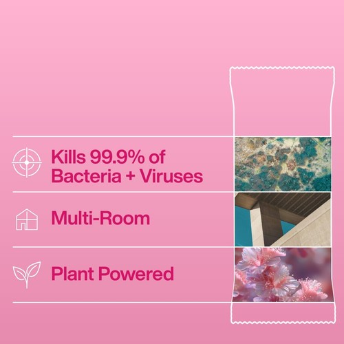 INEOS Antibac Multi-Room Surface Wipes Rhubarb + Pomegranate