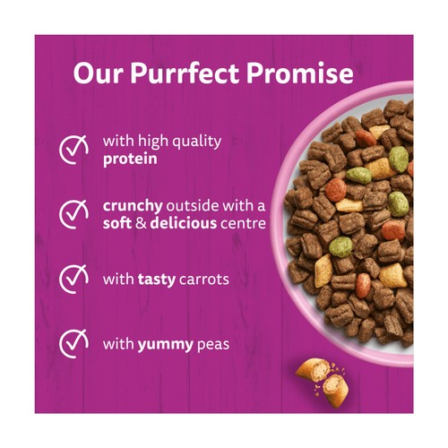 Whiskas 1+ Adult Dry Cat Food with Salmon