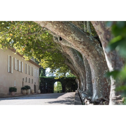 Sainte Roseline Prestige Provence Rose