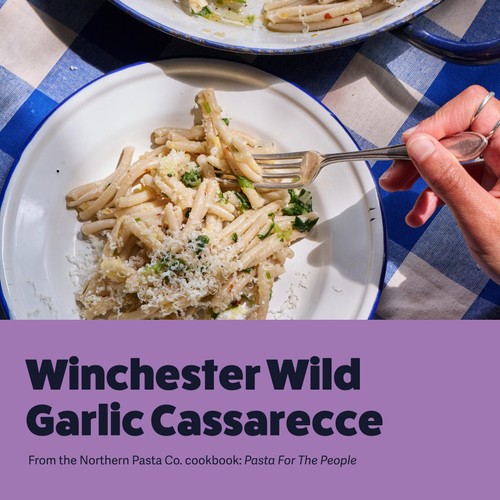 Northern Pasta Co. Casarecce