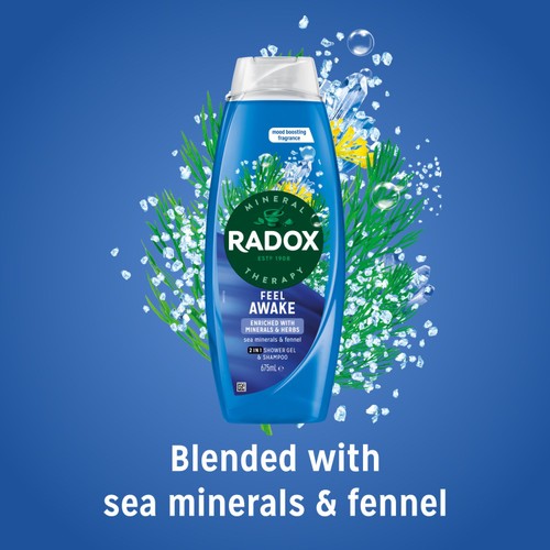 Radox Feel Awake Mood Boosting 2-in-1 Shower Gel & Shampoo