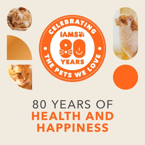 IAMS Senior 11+ Dry Cat Food Chicken