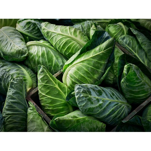 M&S Sweetheart Cabbage
