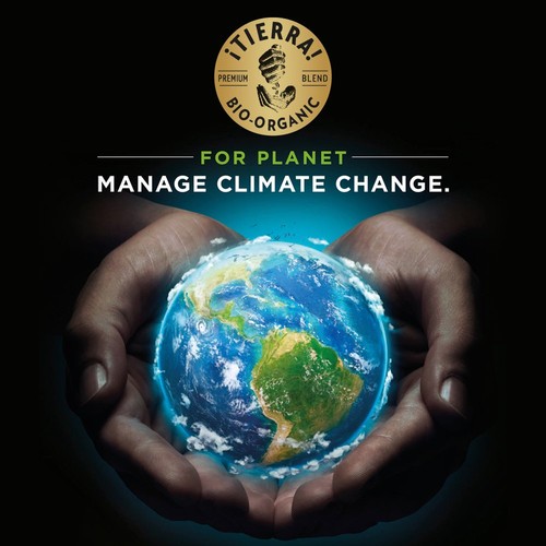 Lavazza Tierra Organic Coffee Beans