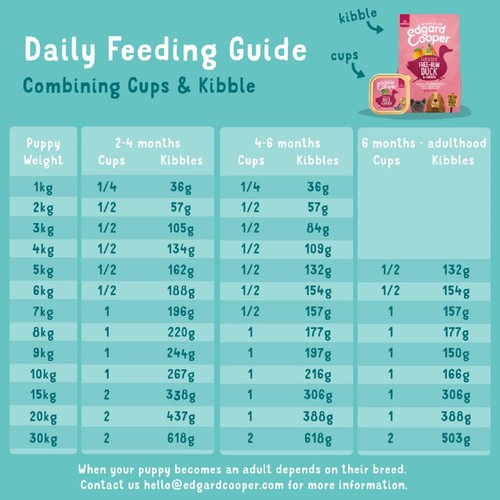Edgard & Cooper Adult Grain Free Wet Dog Food with Chicken & Turkey