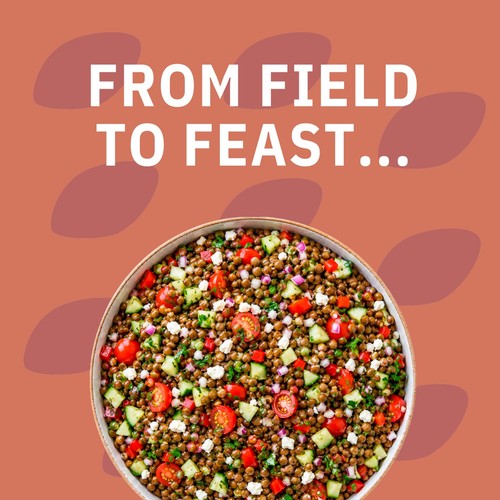 Cooks&Co Brown Lentils