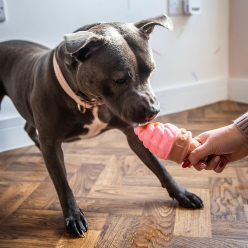 Rosewood Fill 'N' Freeze Icecream For Dogs