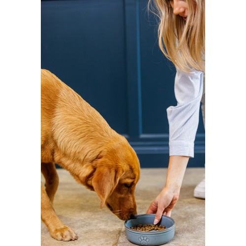 Mason Cash Reactive Paw Bowl 15cm