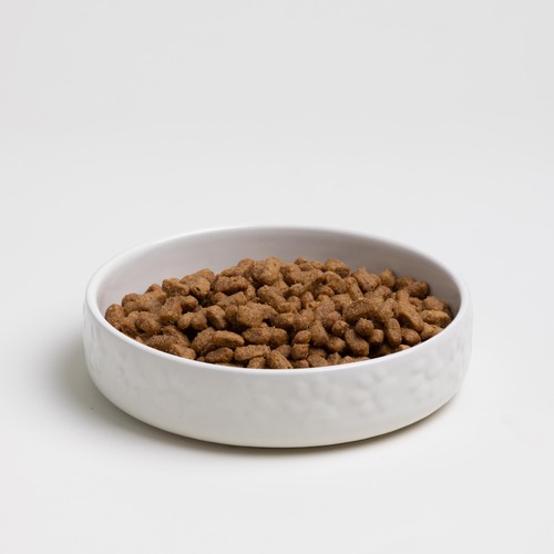 Mason Cash Colour Mix Cream Cat Saucer 13cm