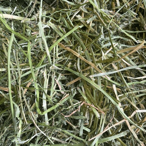 HayDay Coarse & Crunchy Alfalfa Hay