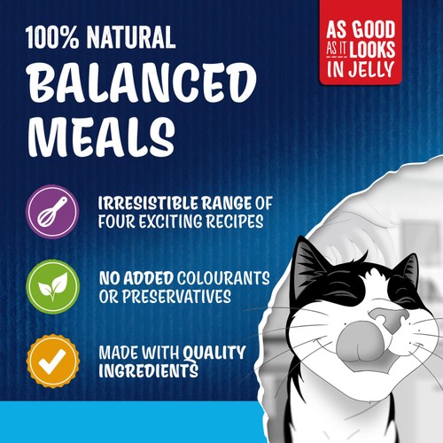 Felix As Good As it Looks Senior 7+ Fish in Jelly Wet Cat Food