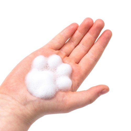 Paddington Paw Foam Hand Soap
