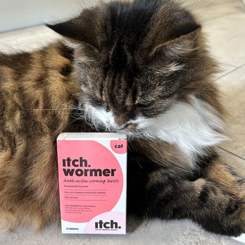 Itch Wormer Tablet Treatment For Cats (1kg +)