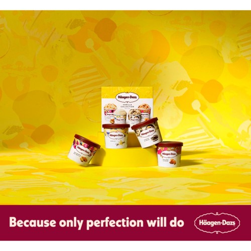 Haagen-Dazs Ice Cream Vanilla Collection