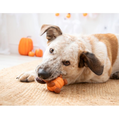 Spirit & Spook Bree Autumn Bear