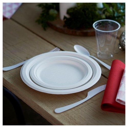 White 22cm Bagasse Party Plates