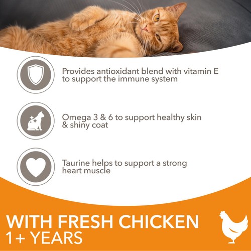 IAMS Adult Dry Cat Food Chicken