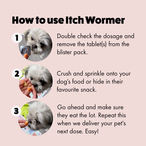Itch Wormer Tablet Treatment For Dogs (3-20kg)