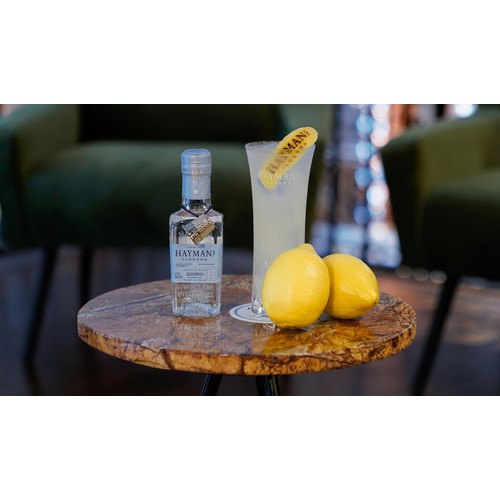 Haymans Small Gin