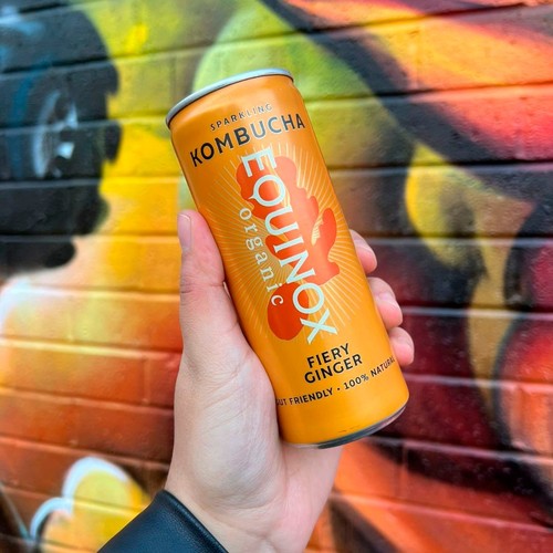 Equinox Organic Fiery Ginger Kombucha