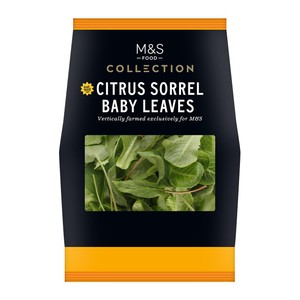 Collection Citrus Sorrel Baby Leaves