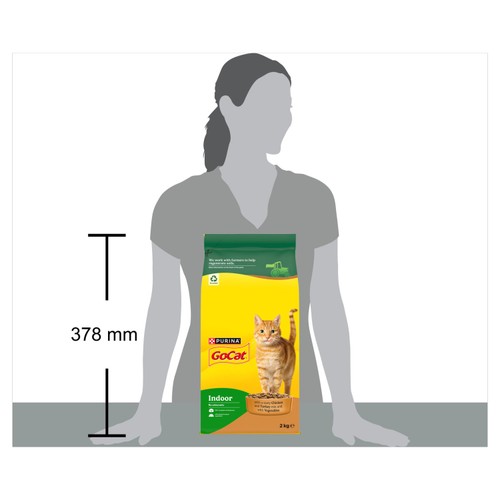 Go-Cat Indoor Chicken Dry Cat Food