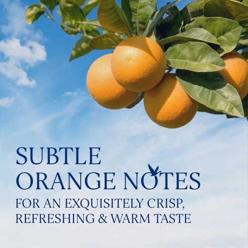 Grey Goose L'Orange Premium Flavoured Vodka