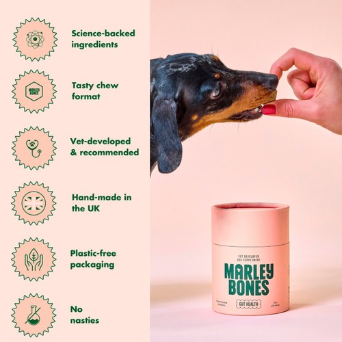 Marleybones Gut Supplement Chew