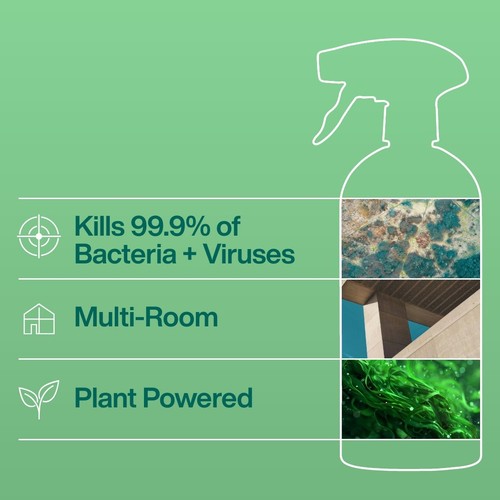 INEOS Antibac Multi-Room Cleaner Bergamot + Cedarwood