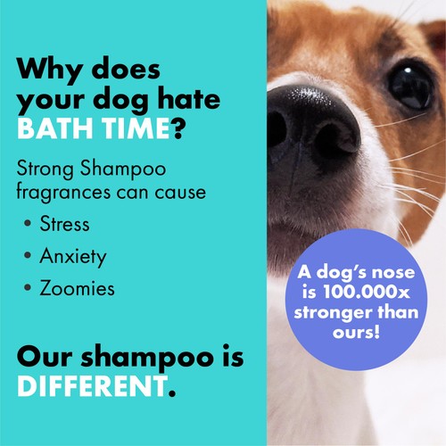 DotDotPet Battersea Curly Coat Conditioning Dog Shampoo