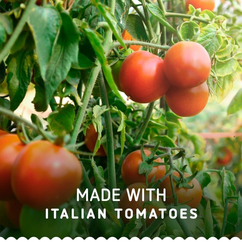 Barilla Red Pesto Pasta Sauce 