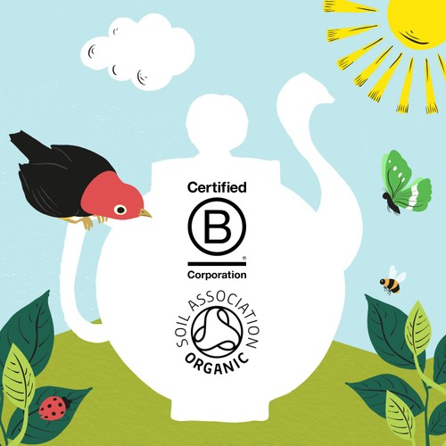 Clipper Organic & Fairtrade Green Tea