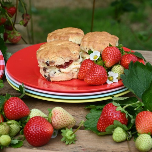 Summerhouse Strawberries & Cream Set of 4 Reusable Plates