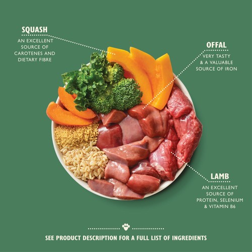 Lily's Kitchen Lamb Tagine Tray for Dogs