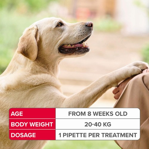 Beaphar FIPROtec Spot-On for Large Dog