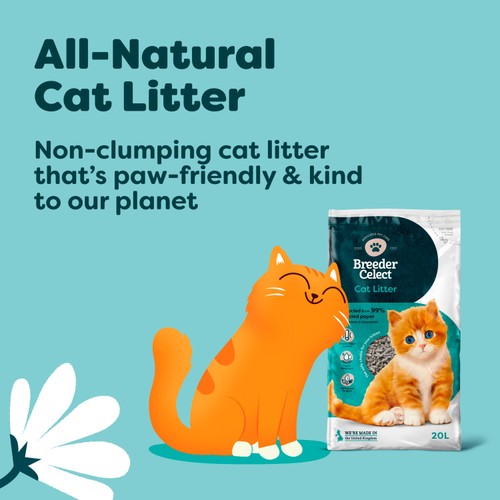 Breeder's Choice Paper Non Clumping Cat Litter (20 L)