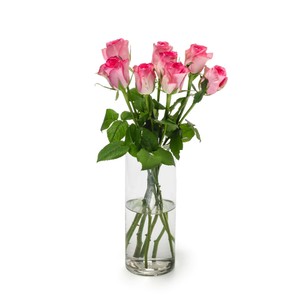 Pink Roses