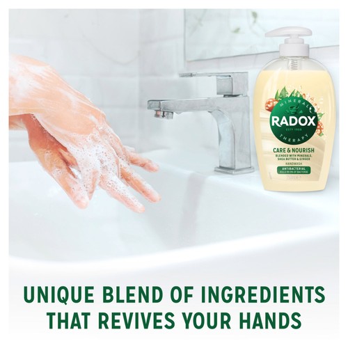 Radox Anti Bac Nourishing Liquid Hand Wash 