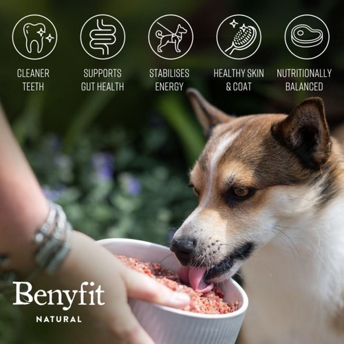 Benyfit Natural Tasty Turkey Complete Raw Dog Food