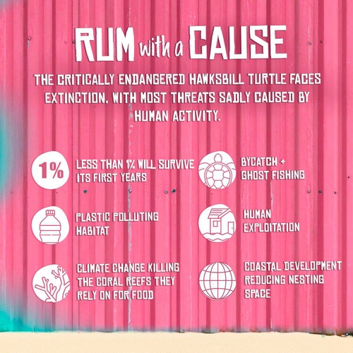 Hawksbill Caribbean Spiced Rum