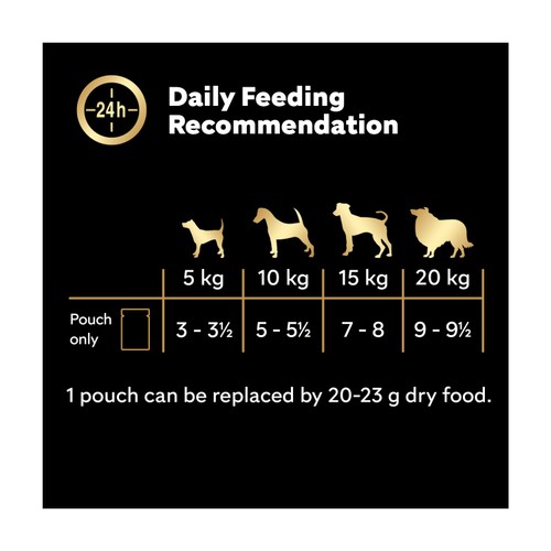 Cesar Senior Wet Dog Food Pouches Mixed Selection in Jelly 