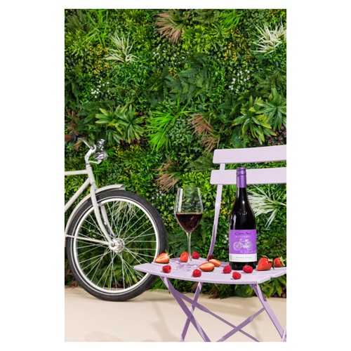 Cono Sur Bicicleta Pinot Noir