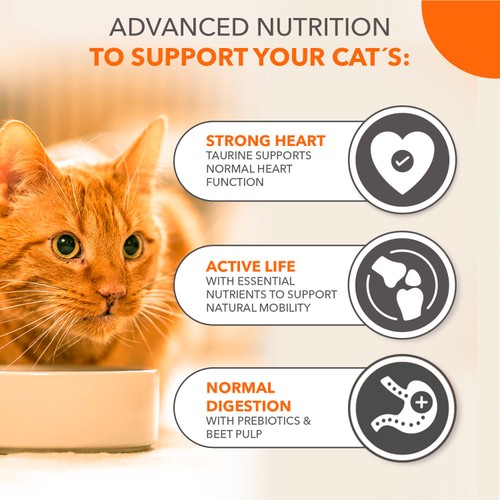 IAMS Senior 11+ Dry Cat Food Chicken