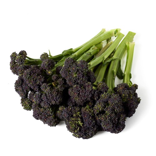 Natoora British Purple Sprouting Broccoli