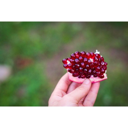Natoora Sicilian Pomegranate