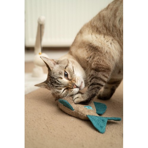 Petface Large Catnip Fish Plush Cat Toy Ocado