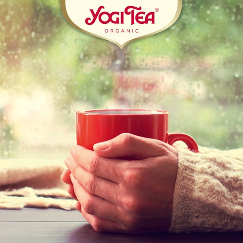 Yogi Tea Licorice Organic Tea Bags