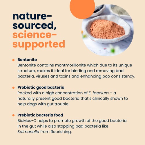 Seraquin Digest Paste for Cats & Dogs
