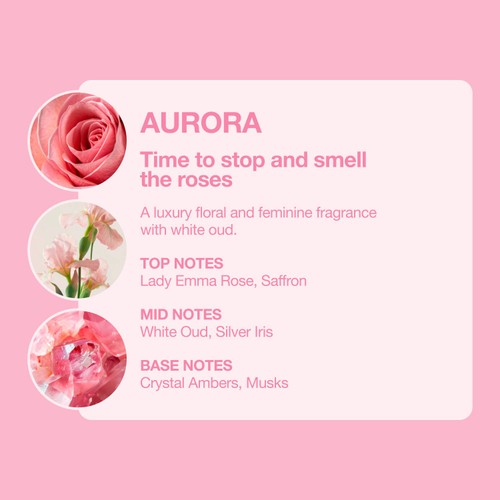 Tallow + Ash Aurora Laundry Shampoo 